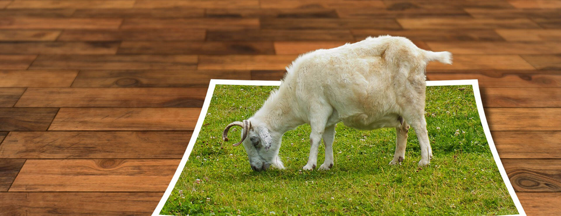 blog-post-bannner-optimize-images