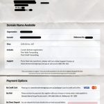 Domain-Name-Scam-2