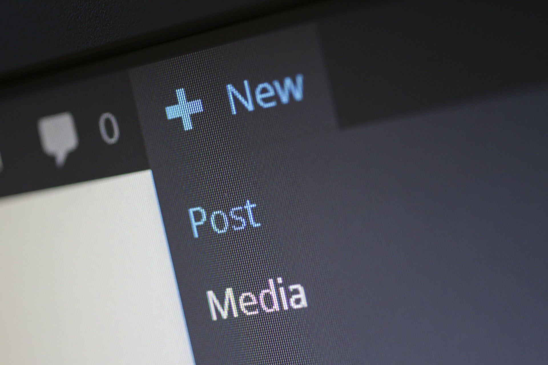 WordPress Wordpress